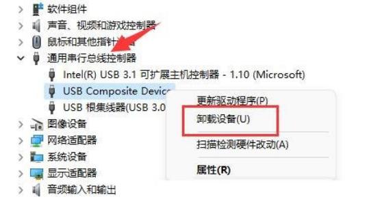 Win11移动硬盘不显示解决方法？Win11移动硬盘不显示问题解析