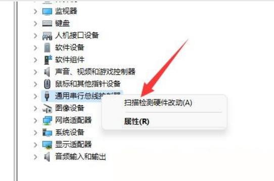 Win11移动硬盘不显示解决方法？Win11移动硬盘不显示问题解析