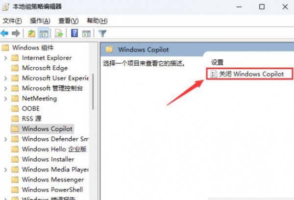 Win11怎么彻底关闭Windows Copilot？关闭Windows Copilot的方法