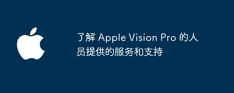 了解 Apple Vision Pro 的人员提供的服务和支持