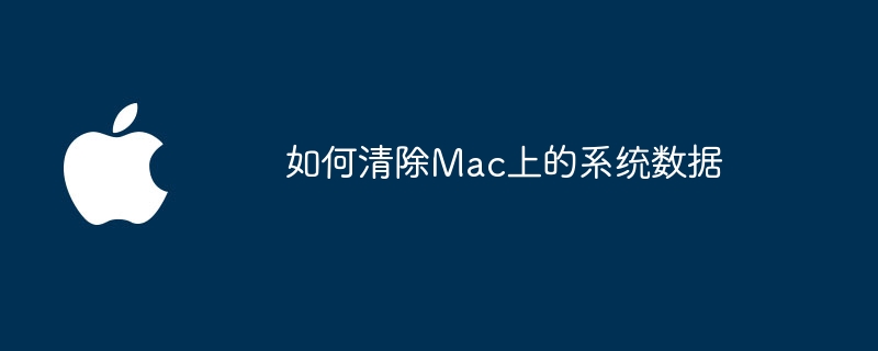 如何清除Mac上的系统数据