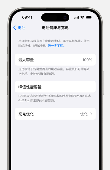 如何查看苹果iPhone 15电池健康？