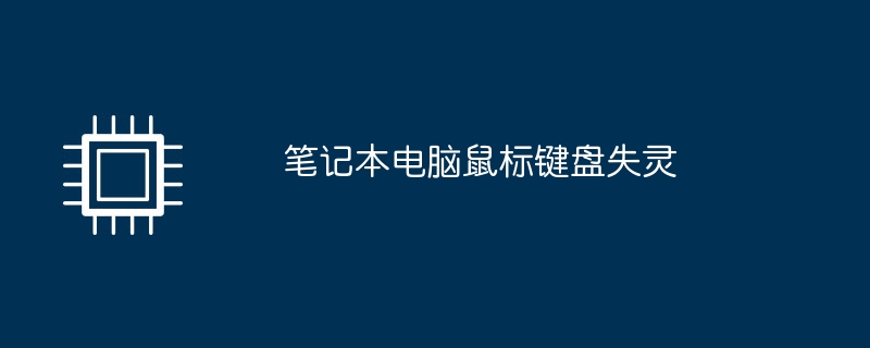 笔记本电脑鼠标键盘失灵