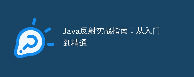 Java反射实战指南：从入门到精通