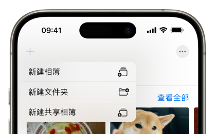 通过 iPhone 共享相簿功能，快速分享春节精彩照片