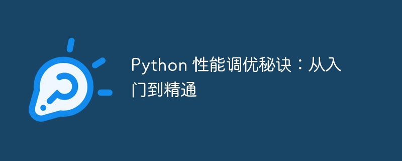 Python 性能调优秘诀：从入门到精通