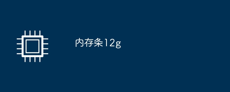 内存条12g