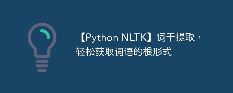 【Python NLTK】词干提取，轻松获取词语的根形式