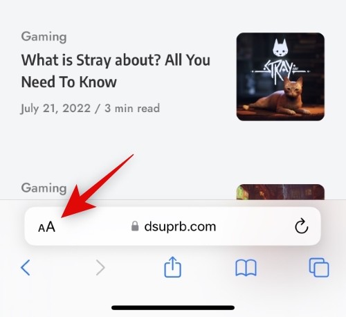 iPhone上如何禁用网站IP显示