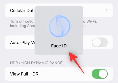 如何在iPhone上禁用隐藏和最近删除的照片的Face ID或Touch ID