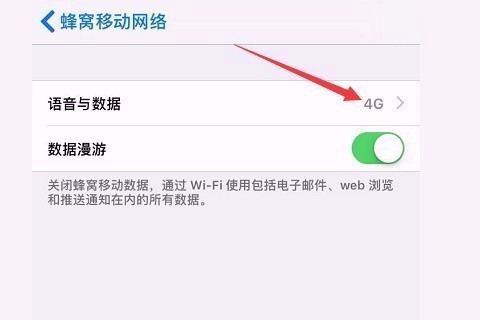 苹果手机突然无法连接4G网络