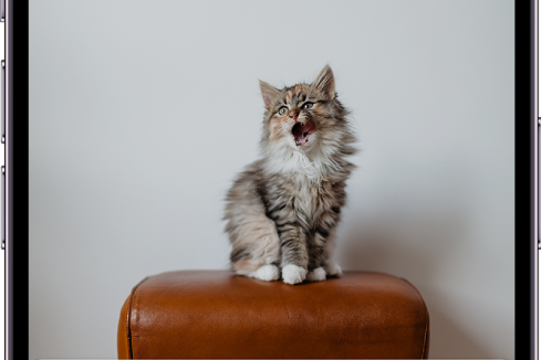 如何使用苹果15的贴纸功能