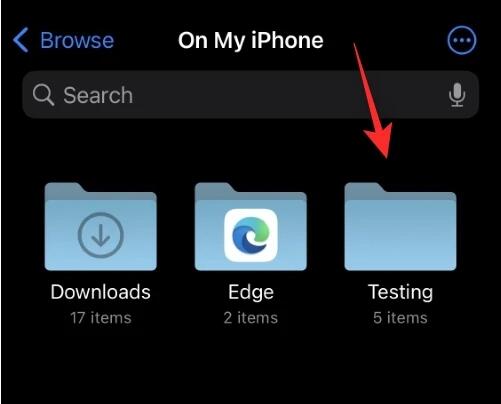 在iPhone上如何修改文件的文件扩展名