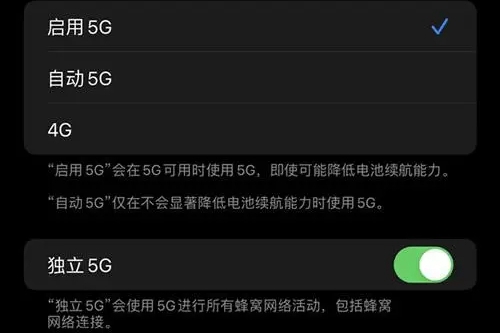 苹果手机5g在哪里开启