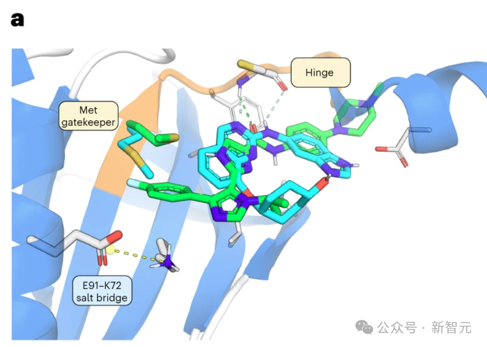 纯AI研发新药登Nature，效率提升3倍，临床实验疗效拔群