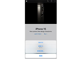 iPhone Safari 浏览器可支持多种语言翻译功能