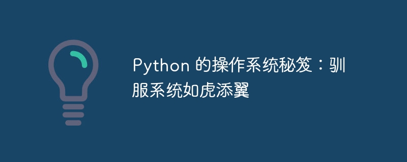 Python 的操作系统秘笈：驯服系统如虎添翼