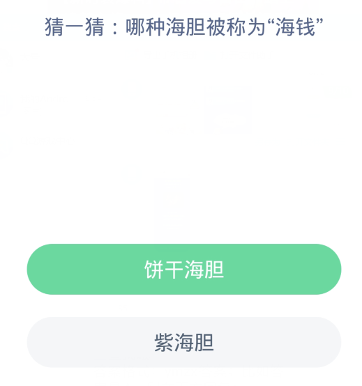 蚂蚁森林神奇海洋2月29日：哪种海胆被称为海钱