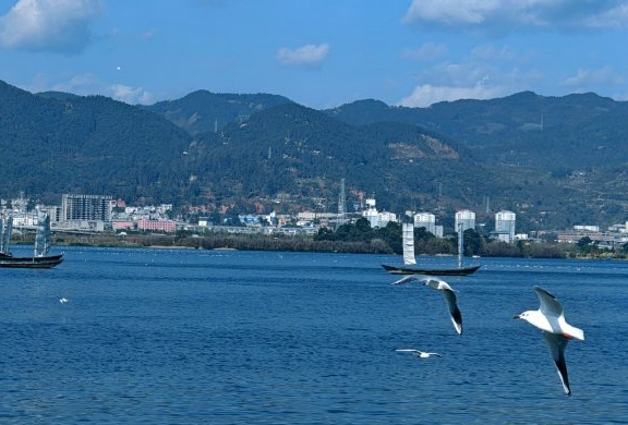 蚂蚁庄园2月2日：四季无寒暑一雨便成秋是以下哪座城市的气候特点