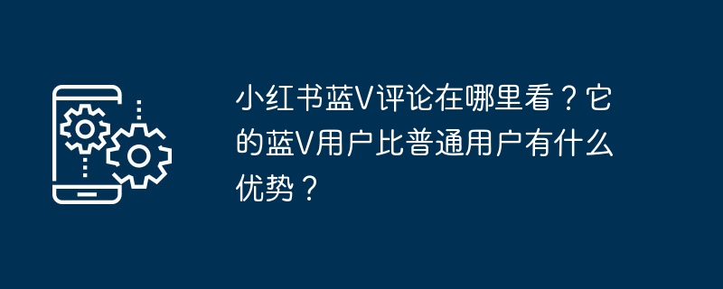 在小红书上如何查看蓝V评论？蓝V用户与普通用户有何不同？