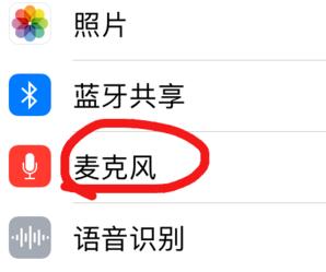 苹果手机游戏麦克风权限打开方法讲解