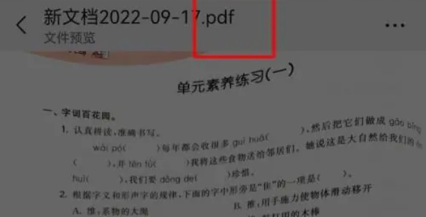 将文件扫描转换为PDF格式