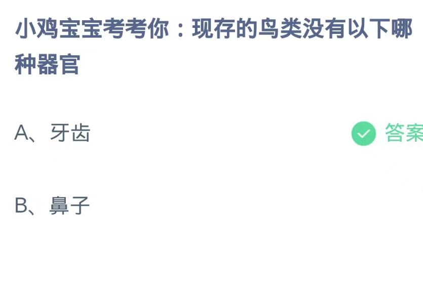 支付宝蚂蚁庄园9月26日：哪种器官是现存的鸟类没有的？