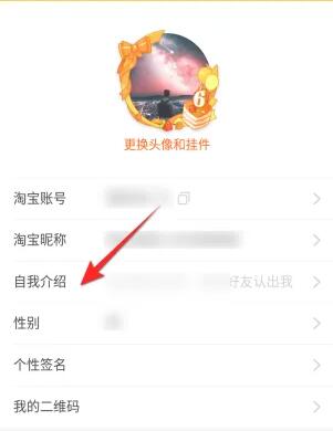 《淘宝》自我介绍怎么改