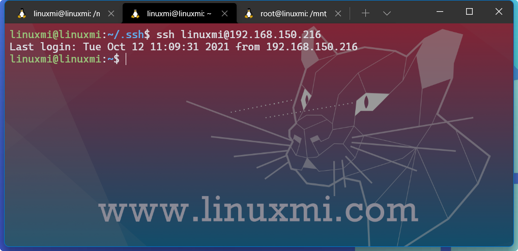 超级强大！Linux 下六个终极 SSH 客户端