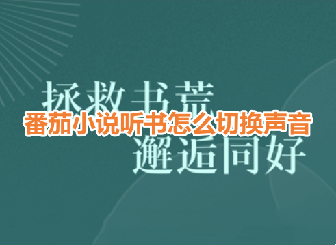 番茄小说听书怎么切换声音？番茄小说切换听书声音设置教程！