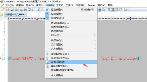 editplus怎么设置只读状态-editplus设置只读状态的方法