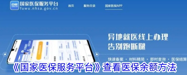 国家医保服务平台医保余额怎么看