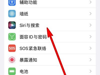 苹果13怎么唤醒Siri_苹果13唤醒Siri教程