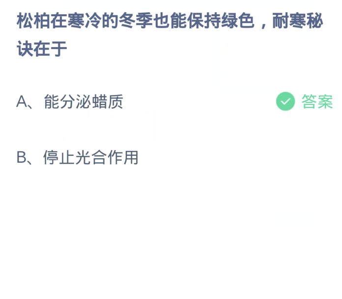 蚂蚁庄园1月24日：松柏在寒冷的冬季也能保持绿色耐寒秘诀在于