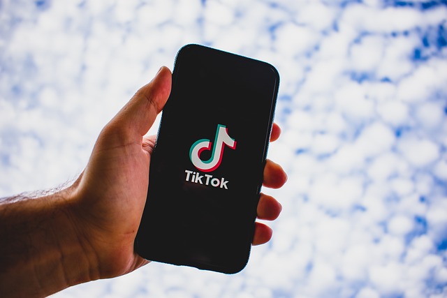 TikTok 启动全球青少年委员会：由 15 名各国青少年组成，确保维护安全 / 福祉