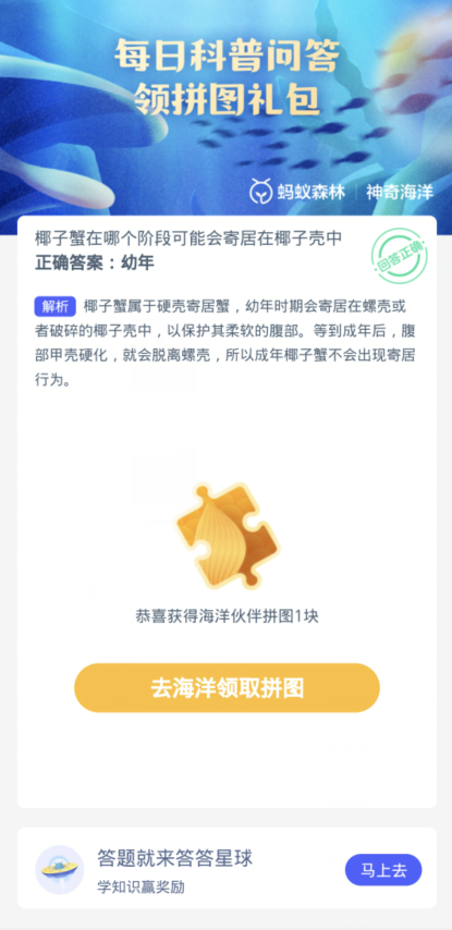 蚂蚁森林神奇海洋1月4日：椰子蟹在哪个阶段可能会寄居在椰子壳中