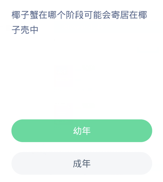 蚂蚁森林神奇海洋1月4日：椰子蟹在哪个阶段可能会寄居在椰子壳中