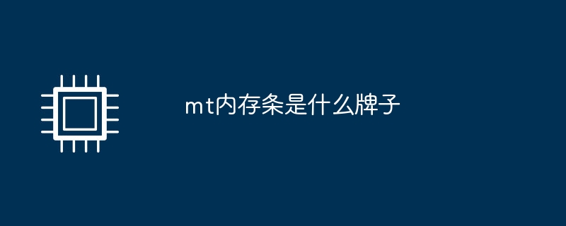 mt内存条是什么牌子