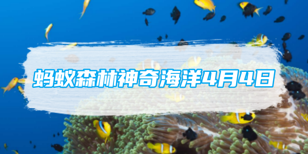 蚂蚁森林神奇海洋4月4日：人们俗称的瑶柱其实是扇贝的