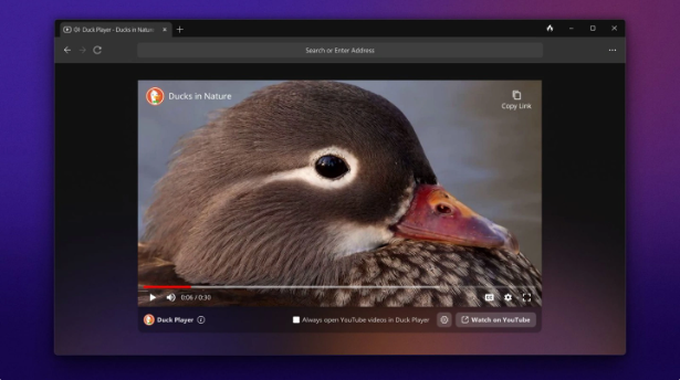 强调隐私安全！Windows版DuckDuckGo浏览器发布公测版本