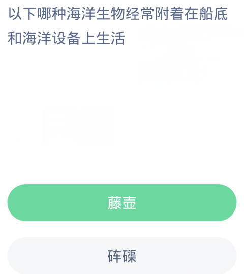 蚂蚁森林神奇海洋1月30日：以下哪种海洋生物经常附着在船底和海洋设备上生活