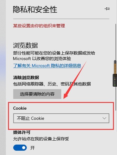 microsoft edge的cookie信息怎么查看_microsoft edge的cookie信息查看教程