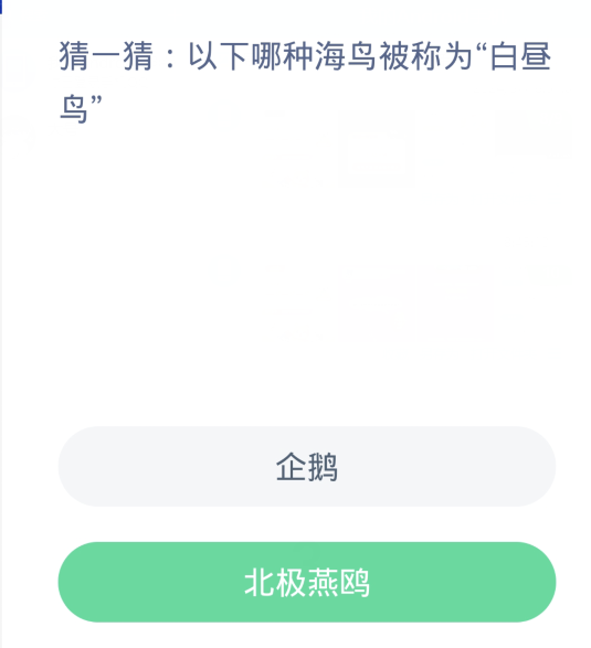 蚂蚁森林神奇海洋3月8日：以下哪种海鸟被称为白昼鸟