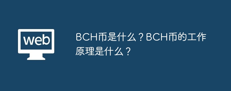 BCH币是什么？BCH币的工作原理是什么？