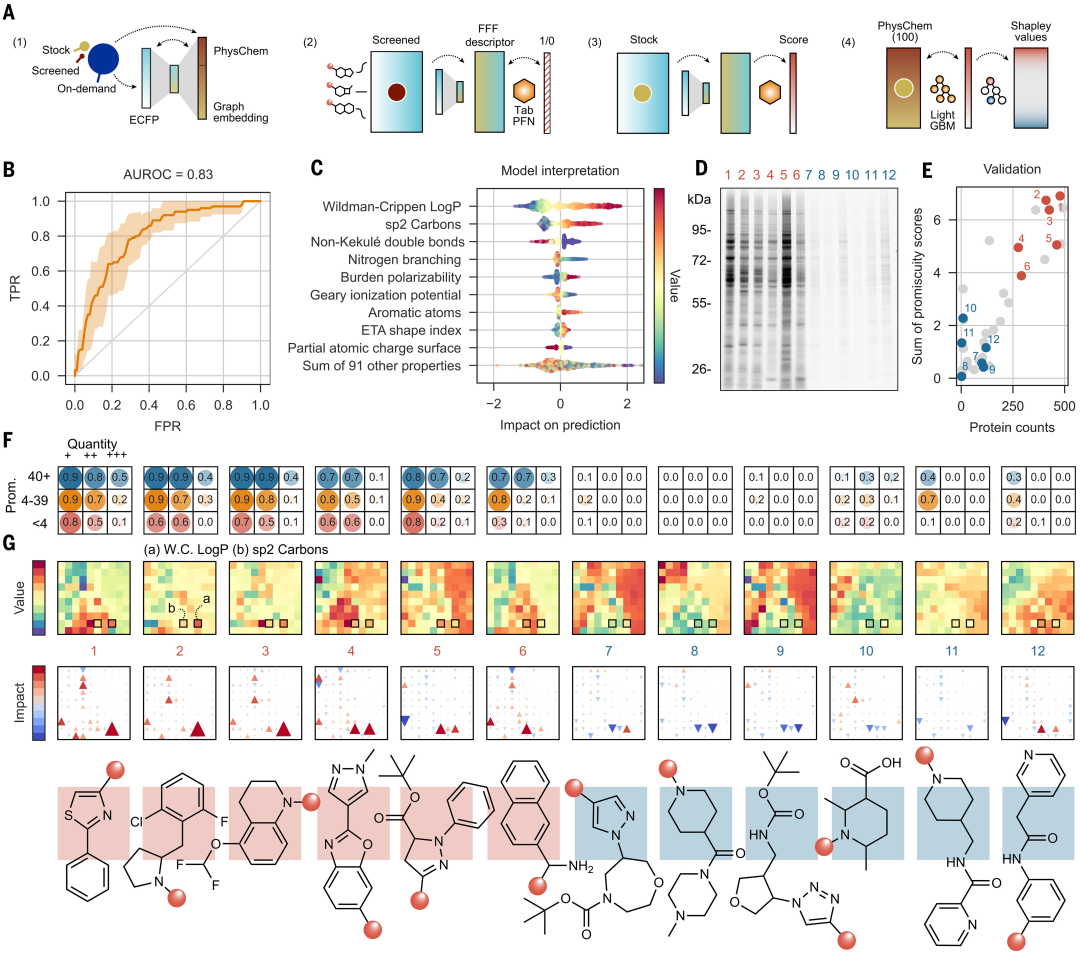 辉瑞 AI 方法登 Science，揭示数以万计的配体-蛋白质相互作用