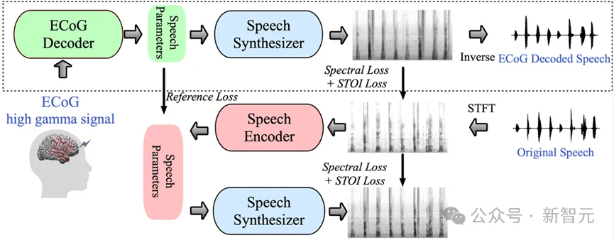 LeCun转发，AI让失语者重新说话！纽约大学发布全新「神经-语音」解码器