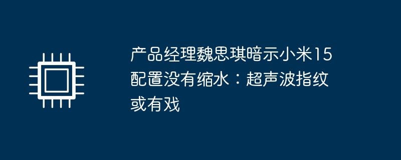 产品经理魏思琪暗示小米15配置没有缩水：超声波指纹或有戏