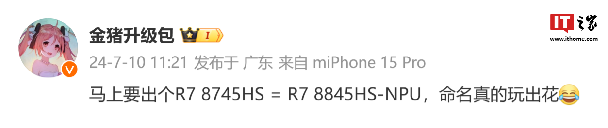 消息称 AMD 将推锐龙 7 8745HS 处理器：8845HS 精简 NPU 单元