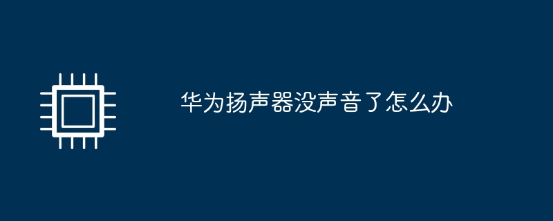 华为扬声器没声音了怎么办