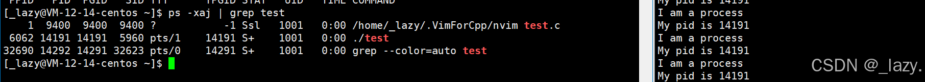 初识Linux · 进程(2)